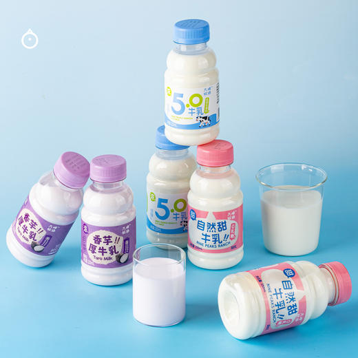 7天内发 企鹅市集|九峰牧场 抹茶奶/香芋奶/自然甜牛乳/5.0高钙牛乳250ml 奶香浓浓 商品图4