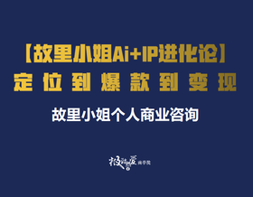 故里小姐Ai+IP进化论| 定位到爆款到变现之商业咨询服务