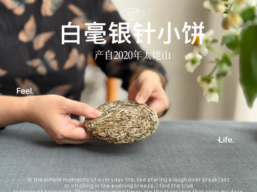 【年货节重磅推荐】2020白毫银针饼，稠、滑、糯、淳、浆感，回甘里落英缤纷，饱满丰腴 商品图1