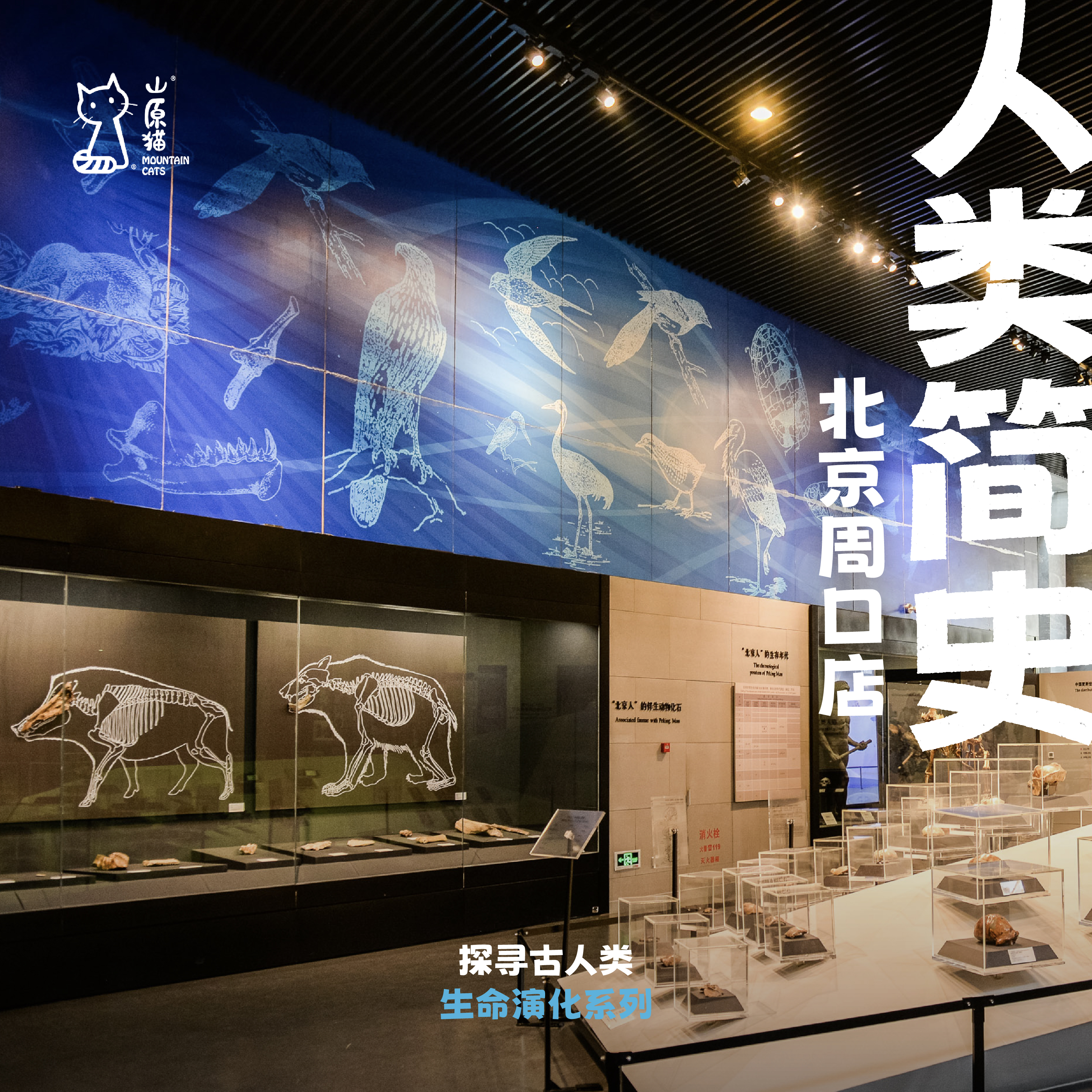 「已成团·清明假期4.4」人类简史 · 周口店古人类主题单日研学