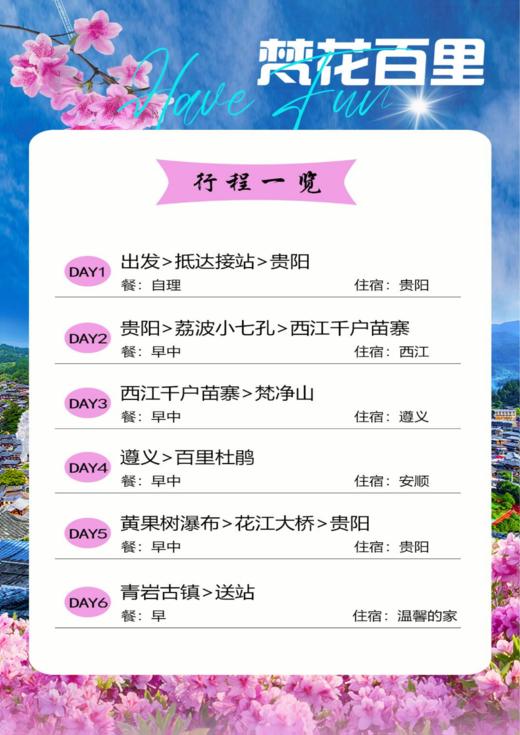 【3月】梵花百里精品入黔游 天天班 6日游  基础配置： 4正 不含门票！！！ 商品图3
