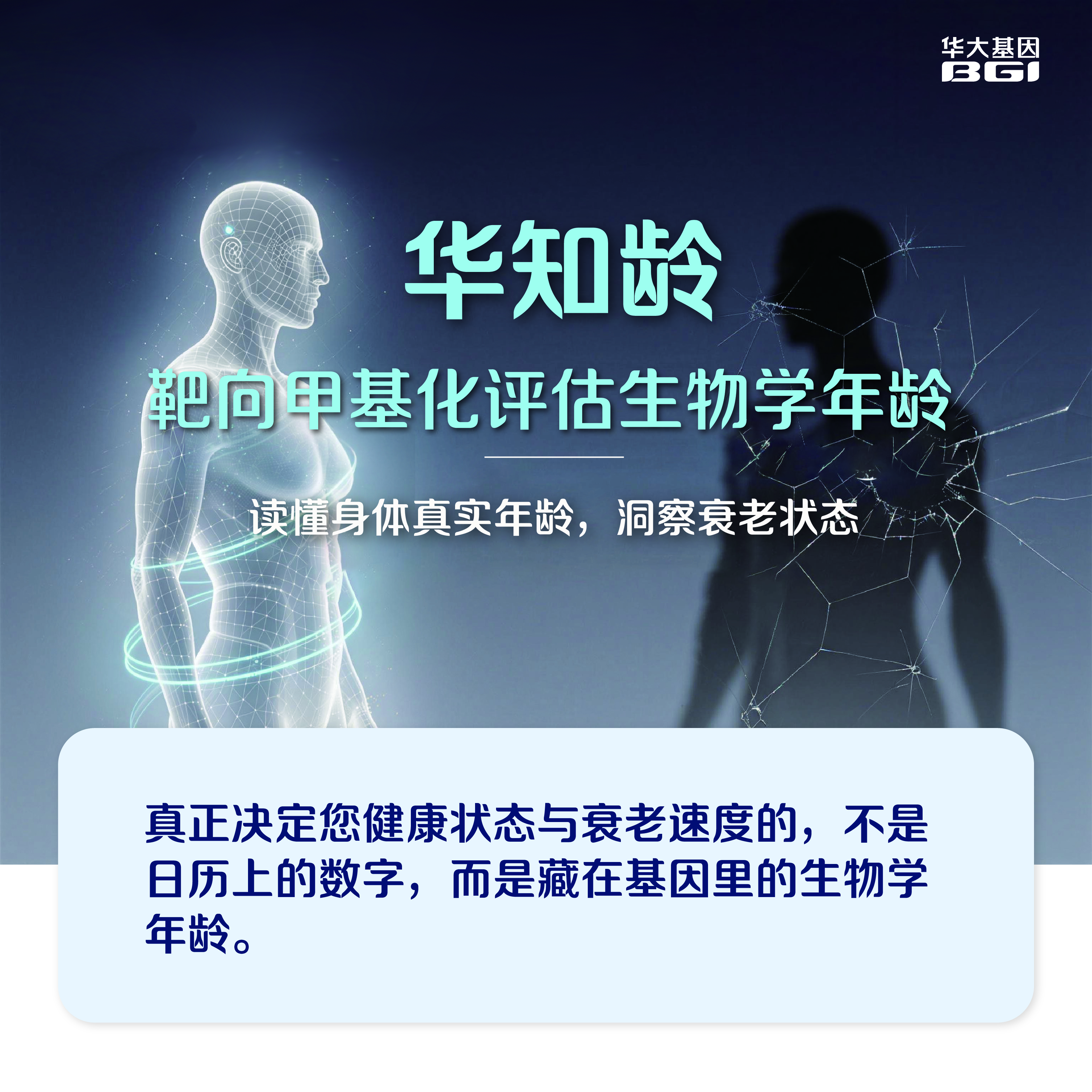 【预售-华知龄】华大基因  华知龄靶向甲基化评估生物学年龄