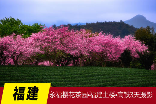2.28确定出发【福建】永福樱花茶园•福建土楼•高铁3天摄影<特惠> 商品图0