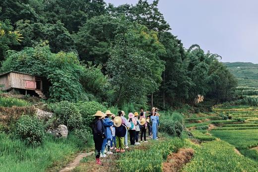 暖冬小众目的地！【滇东南5日亲子营】走进哈利族秘境部落，探访阿者科的蘑菇房，博物馆探寻寒武纪生命的奥秘，哈尼梯田摸鱼，漫步抚仙湖，碧色寨重现“芳华”年代，在建水当“小秀才”，捏紫陶 商品图5