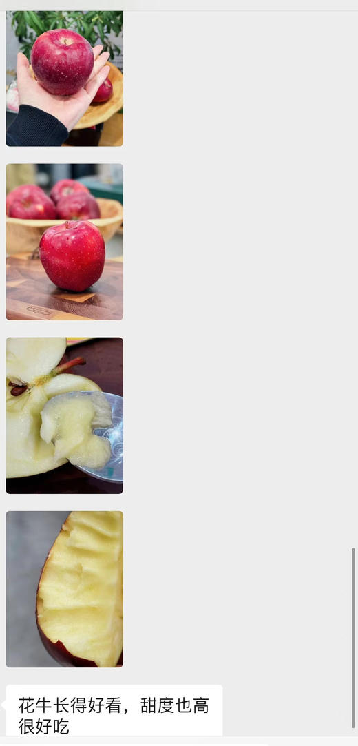 组团9-11号发货 商品图10