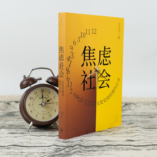 【签名版】王天夫《焦虑社会：无处安放的现代心灵》 商品图2