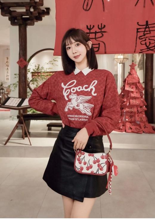 年后发！代工订单裁余！纯元！Coa女士飞马刺绣针织卫衣/短袖T恤（售后时间：签收3天内，不合适及时申请） 商品图6