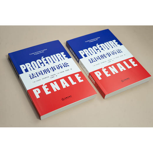 法国刑事诉讼 [法]科拉莉·安布鲁瓦兹·卡斯特罗 [法]菲利普·邦菲斯著 王晨辰译 法律出版社 商品图1