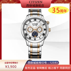 西铁城日本官方正品光动能月相盈亏月份星期日历男表AP1054-80A