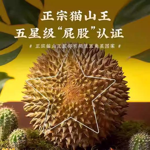 冰淇淋口感猫山王！液氮速锁鲜 马来西亚榴莲 绵密醇香 商品图0