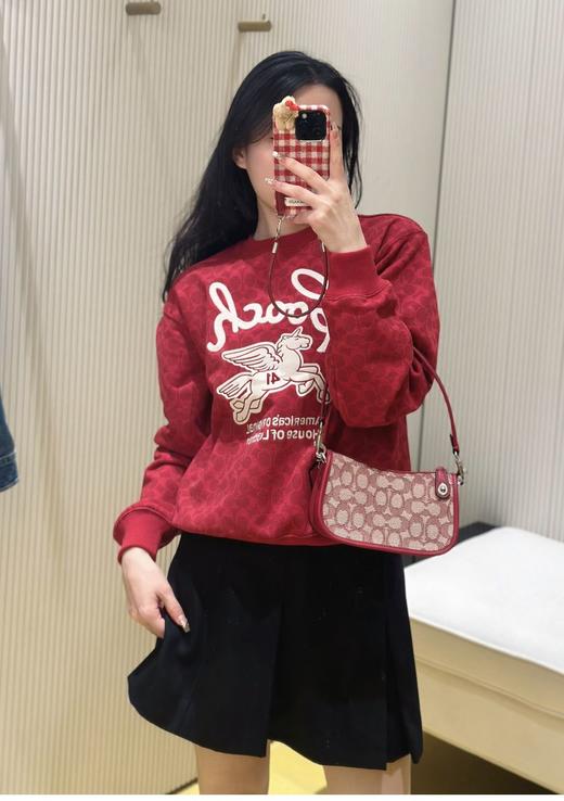 年后发！代工订单裁余！纯元！Coa女士飞马刺绣针织卫衣/短袖T恤（售后时间：签收3天内，不合适及时申请） 商品图7