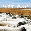 盐池滩羊1388型礼盒 商品缩略图3