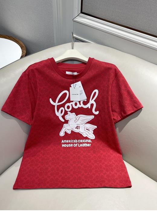 年后发！代工订单裁余！纯元！Coa女士飞马刺绣针织卫衣/短袖T恤（售后时间：签收3天内，不合适及时申请） 商品图2