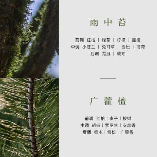 【首品专享】浴见-柔砂保湿沐浴啫喱（广藿檀、雨中苔）沐浴露洗香香洗澡 商品图4