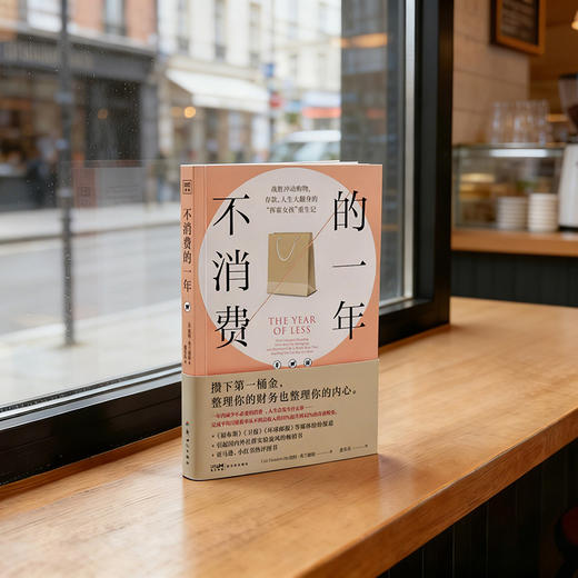 不消费的一年：战胜冲动消费 商品图1