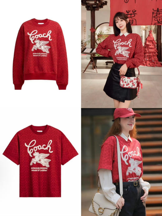 年后发！代工订单裁余！纯元！Coa女士飞马刺绣针织卫衣/短袖T恤（售后时间：签收3天内，不合适及时申请） 商品图0