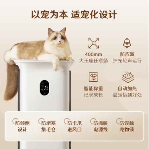 352宠物空气净化器 家用吸猫毛净化器 除甲醛异味过敏原杀菌消毒猫用空气净化器Q80 商品图4