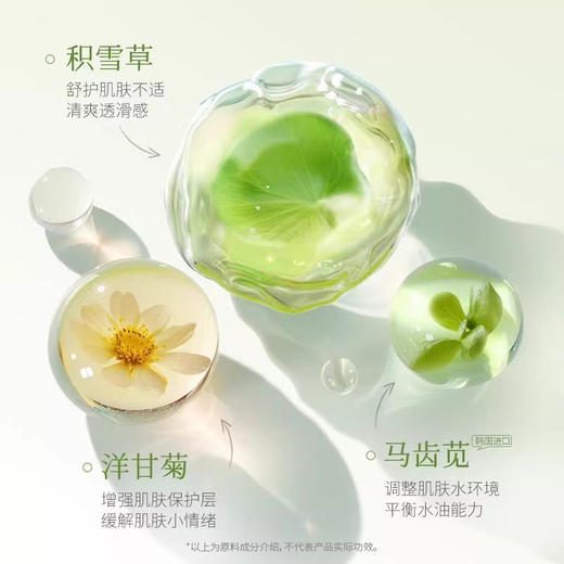 寻荟记清新白茶沐浴露550g 持久留香控油保湿烟酰胺焕肤 商品图2