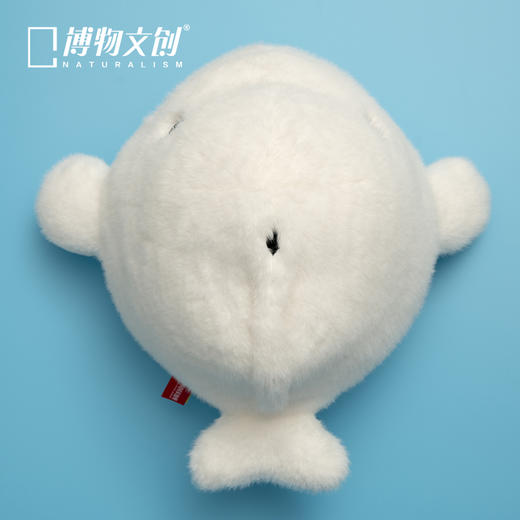 博物文创 大圆宝 白鲸  新年元旦生日礼物 商品图1
