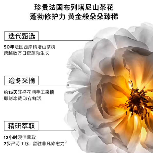 【卡诗护发精油】丰盈蓬松 润养秀发 15ml*3 商品图2