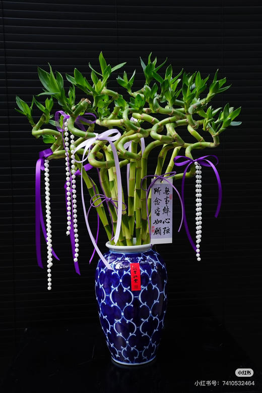 【2026.2.12】秒杀特价：1扎10枝A级转运竹32.9（现货 下单即可到店自提） 商品图2