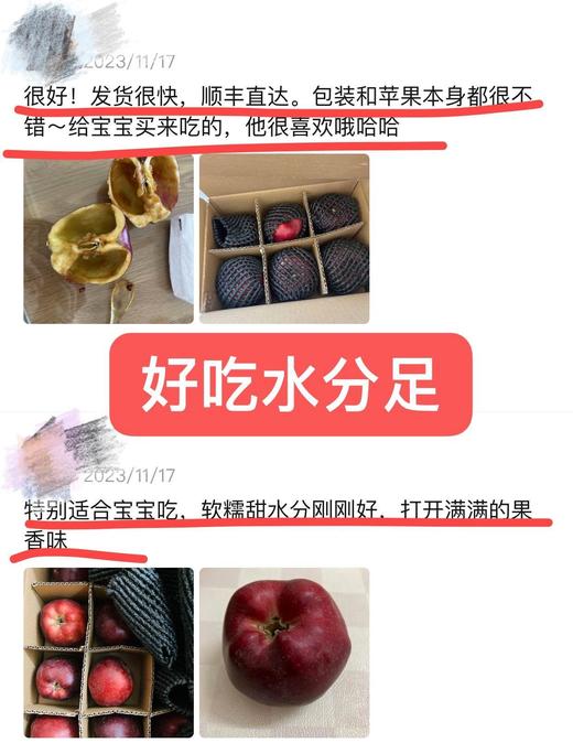 组团9-11号发货 商品图14