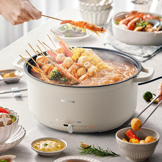 小熊（Bear）电火锅多用途锅电煮锅多功能锅家用电热锅火锅DHG-H50K7 商品图0