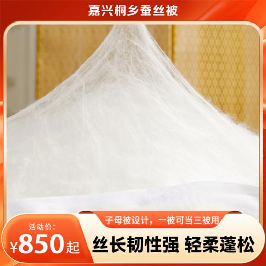 【分销】【桐乡蚕缘蚕丝被】桑蚕丝（长丝） 蚕丝被国标起草单位，真正源头厂家直发，有内衬和手提袋， 结婚陪嫁置办新被推荐 商品图0