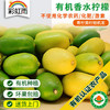 无籽有机香水柠檬450g 青柠黄柠随机发京津冀满额包邮 商品缩略图0