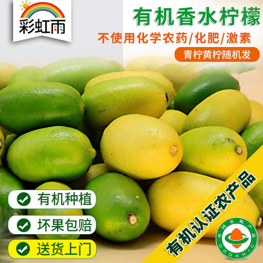 无籽有机香水柠檬450g 青柠黄柠随机发京津冀满额包邮 商品图0