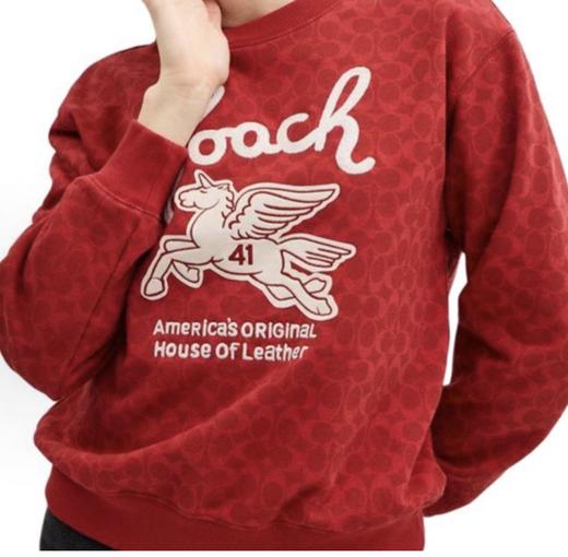 年后发！代工订单裁余！纯元！Coa女士飞马刺绣针织卫衣/短袖T恤（售后时间：签收3天内，不合适及时申请） 商品图3