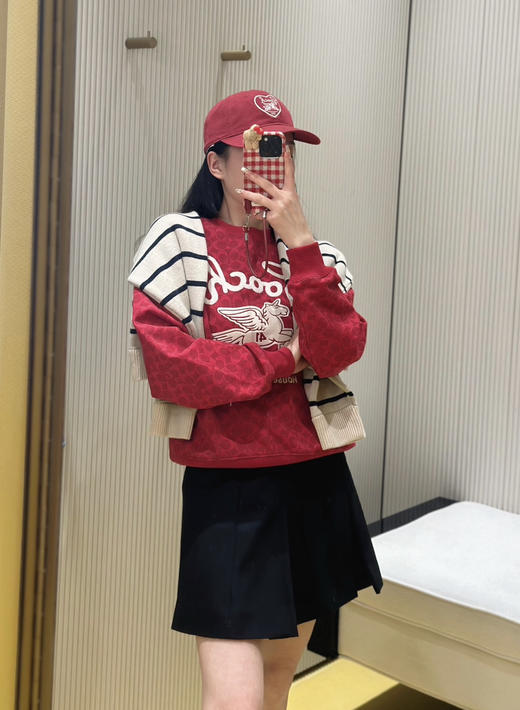 正品Coa*h蔻*女士飞马刺绣针织卫衣020602 商品图7