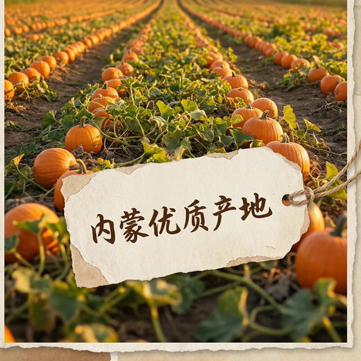 列夫原香南瓜仁500g 商品图1