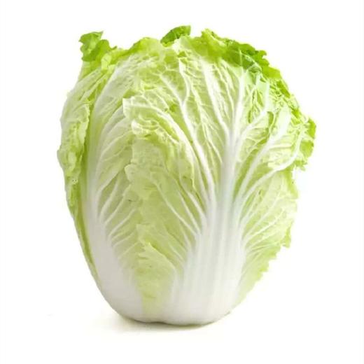 大白菜 约2500g/份 商品图1