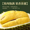 冰淇淋口感猫山王！液氮速锁鲜 马来西亚榴莲 绵密醇香 商品缩略图2