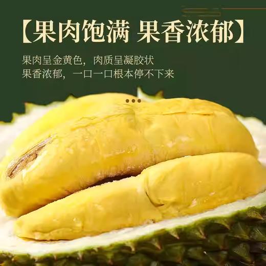 冰淇淋口感猫山王！液氮速锁鲜 马来西亚榴莲 绵密醇香 商品图2