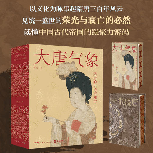 大唐气象：隋唐的史诗与瑰宝 商品图0