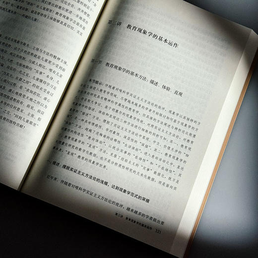 教育现象学 教育学的另一条科学道路 姜勇 商品图10