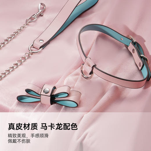 马卡龙蝴蝶结真皮项圈 可拆卸 商品图3