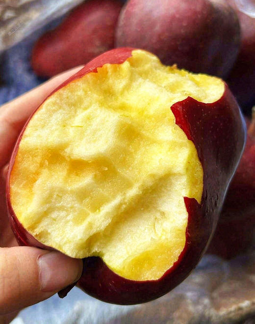 组团9-11号发货 商品图3