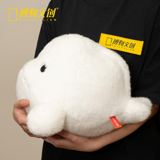 博物文创 大圆宝 白鲸  新年元旦生日礼物 商品图4