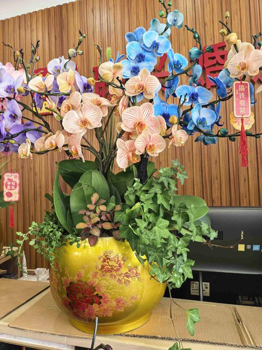 马卡龙盆栽10支 商品图2