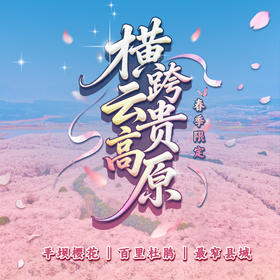 【春季限定】横跨云贵高原（平坝樱花・百里杜鹃・最窄县城），穿越龙脊山天路 + 探秘地心天坑之旅