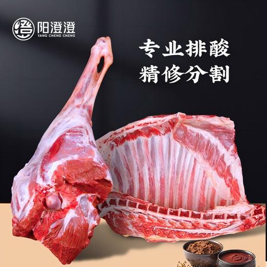 盐池滩羊888型礼盒 商品图3