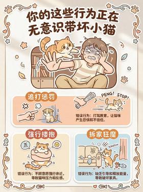 养猫避雷‼别再无意识带坏小猫