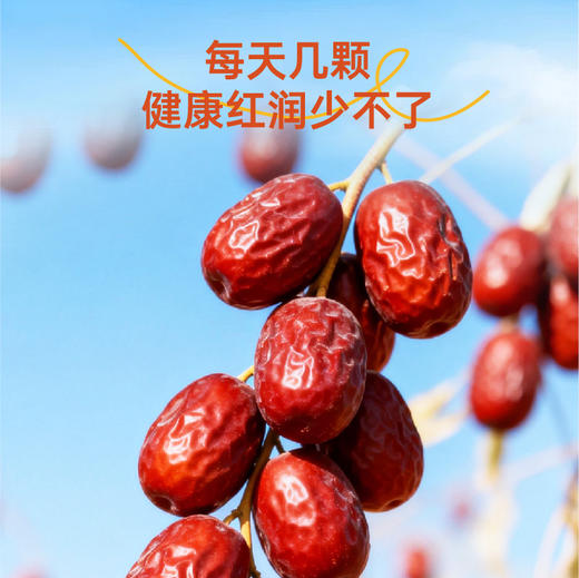派喔和田骏枣礼盒600g（新老包装随机发货） 商品图7
