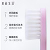 极简生活牙刷（三支家庭装）6009 商品缩略图2