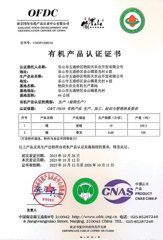 有机春见耙耙柑｜现摘先发｜顺丰空运｜10号首摘 商品图14