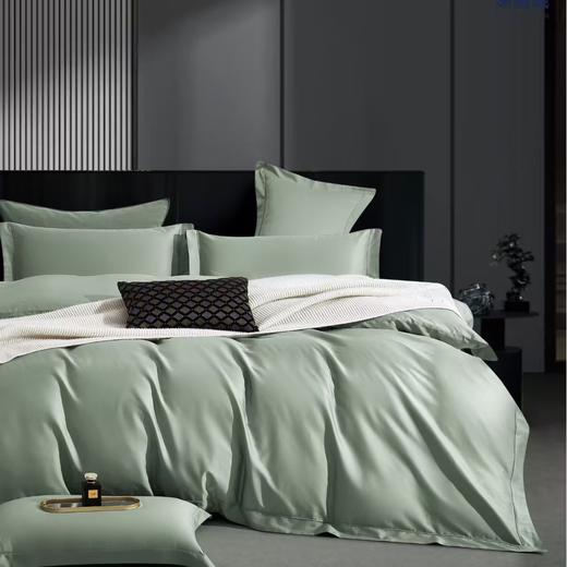 【春上新】10楼 恐龙 素色长绒棉四件套（多色）200*230cm/ 220*240cm   吊牌价1880-1980元    活动价499-599元 商品图1