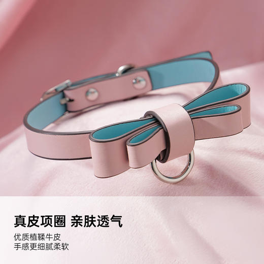 马卡龙蝴蝶结真皮项圈 可拆卸 商品图2